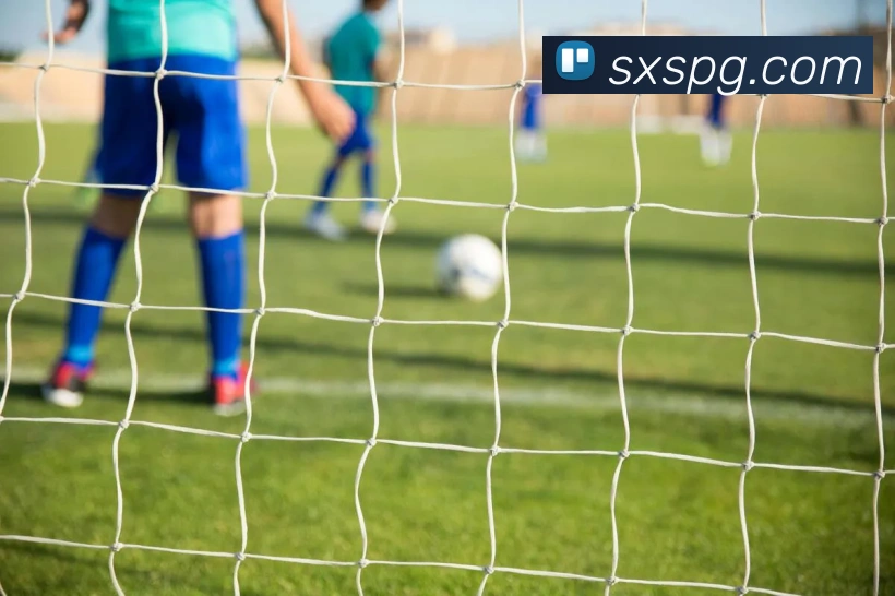 App Interface Preview